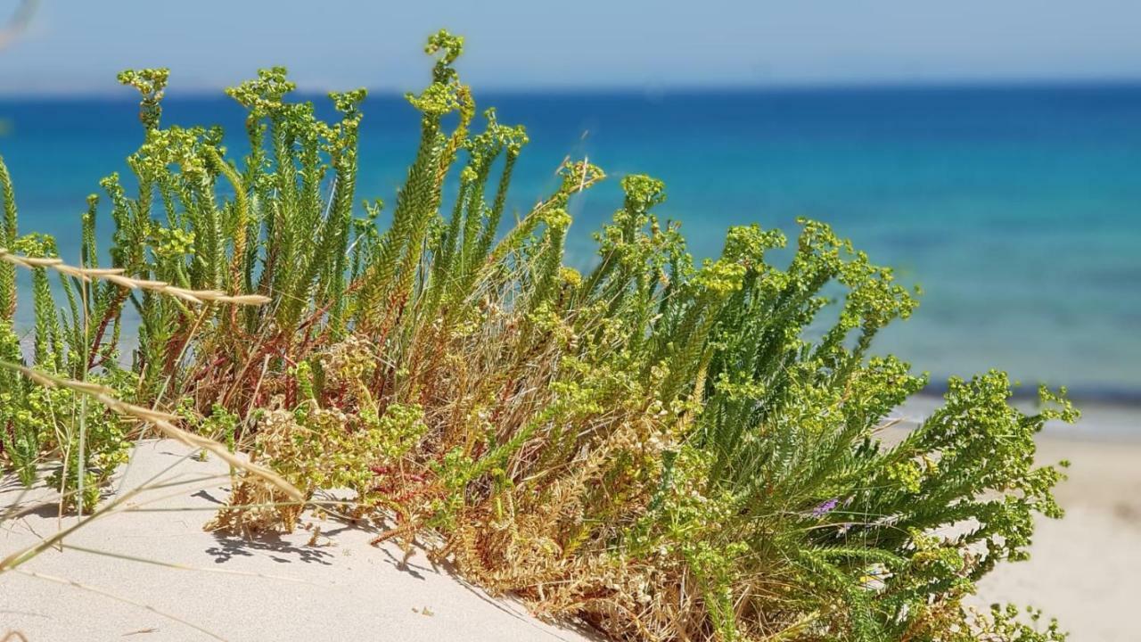 דירות סן פרננדו Luz De La Bahia מראה חיצוני תמונה